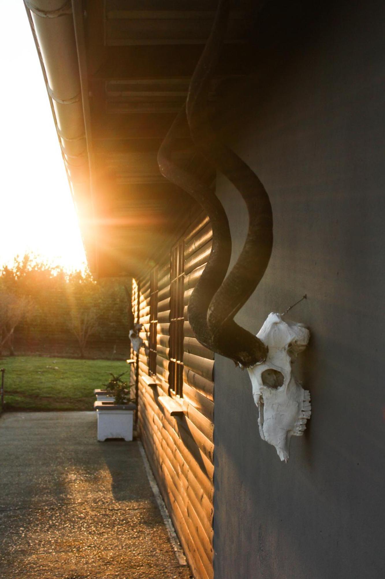 Ferienwohnung The Dam House Addo Exterior foto